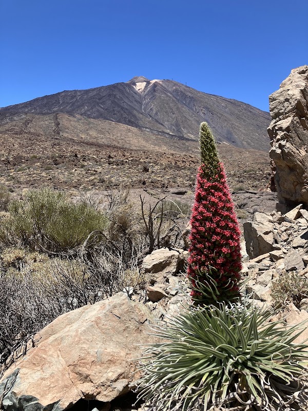 Sentier des Roques de García – Roques de García, Parque Nacional del Teide, La Orotava, Tenerife, Espagne (photo 3)