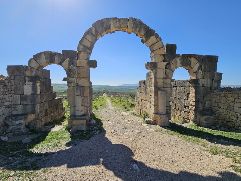 Site archéologique de Volubilis – Site archéologique de Volubilis, Moulay Idriss Zerhoun, Maroc (photo 2)