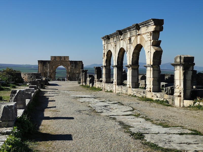 Site archéologique de Volubilis – Site archéologique de Volubilis, Moulay Idriss Zerhoun, Maroc (photo 3)