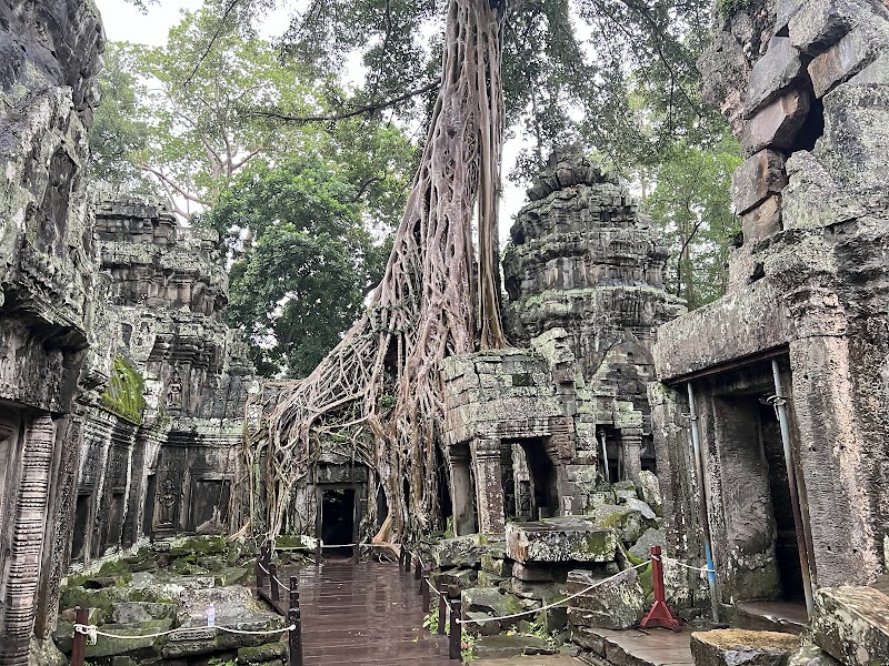 Ta Prohm et Banteay Srei – Ta Prohm, Angkor Archaeological Park, Siem Reap, Cambodge (photo 2)