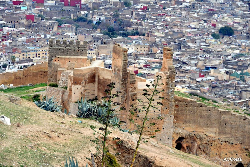 Tombeaux mérinides – Tombeaux Mérinides, Fès, Maroc (photo 2)