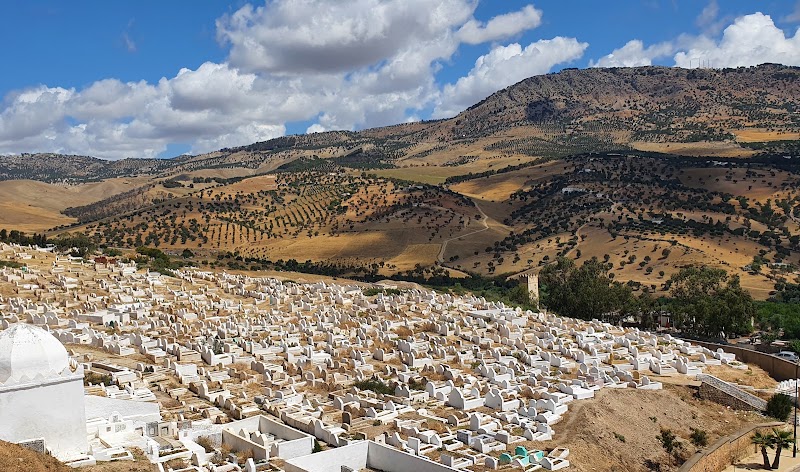 Tombeaux mérinides – Tombeaux Mérinides, Fès, Maroc (photo 3)