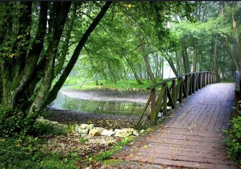Vrelo Bosne – Vrelo Bosne, Ilidža 71210, Sarajevo, Bosnie-Herzégovine (photo 2)