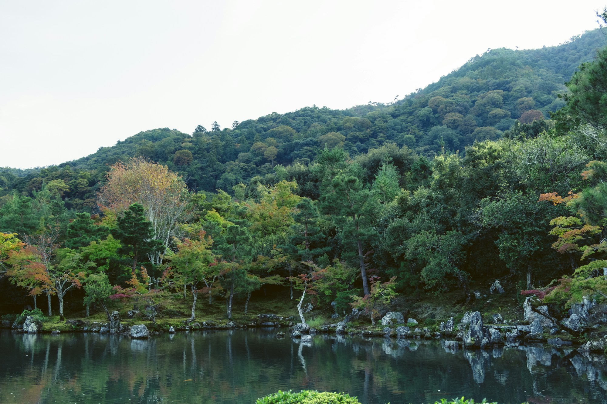 A calm, wooded pond on the outskirts of Kyoto, to the west of the city