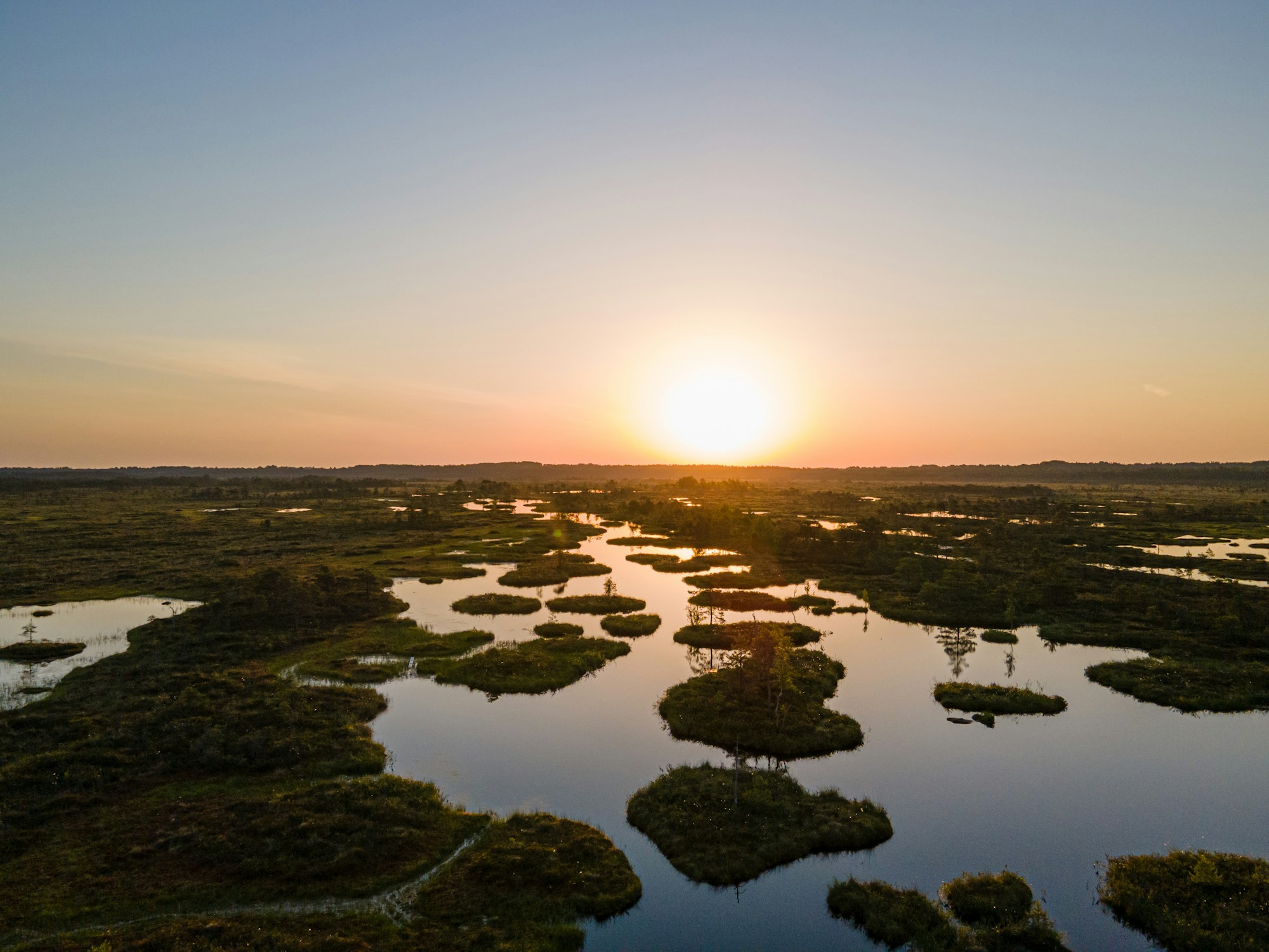 Marisma silenciosa de la Boddenlandschaft al atardecer, tras la epizootia de 2025