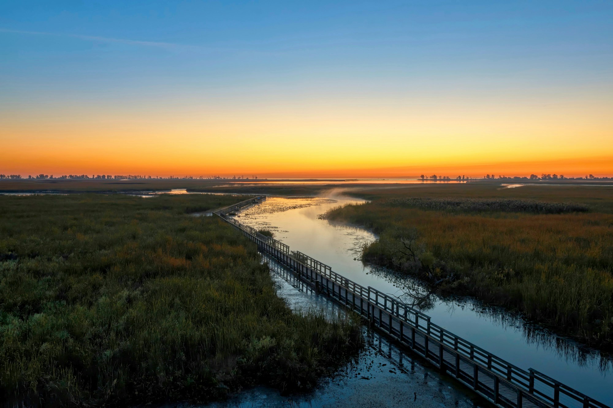 Atardecer sobre los cañaverales del Bodden, escenario de la Woche des Kranichs