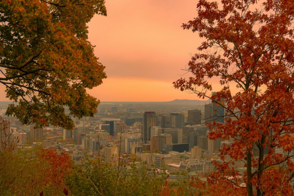 Vue plongeante sur les gratte-ciel de Montreal depuis un belvedere du Mont-Royal