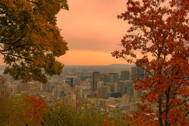Mundial de ciclismo 2026 en Montreal: el Mont-Royal, gratis