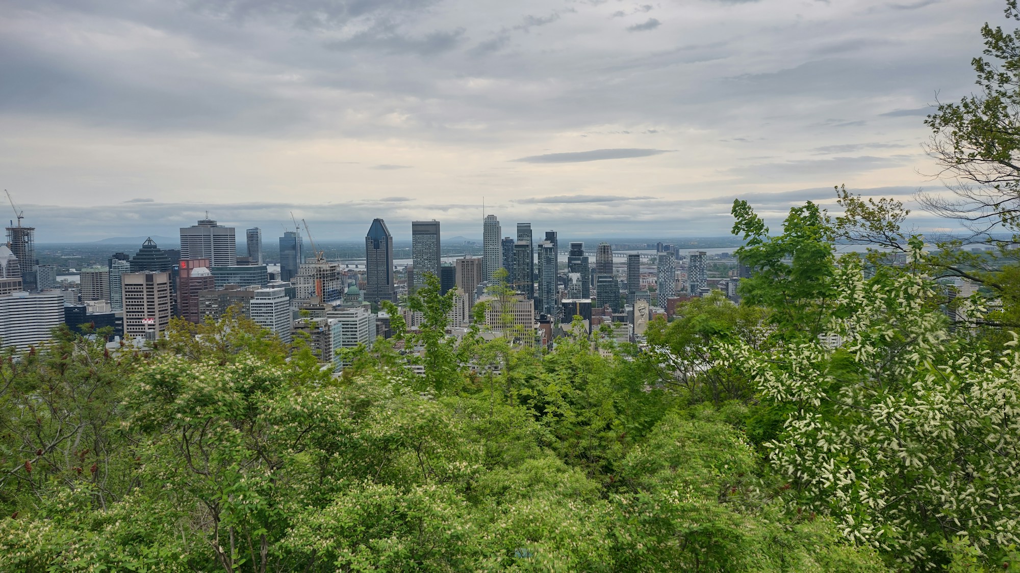 Vista panorámica de Montreal desde un promontorio elevado