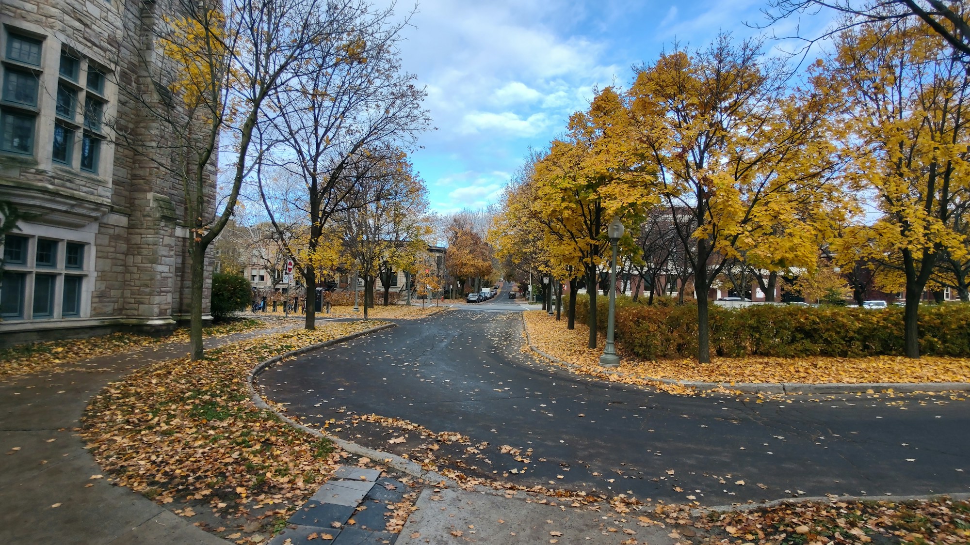 Calle bordeada de árboles con colores otoñales en Montreal en septiembre