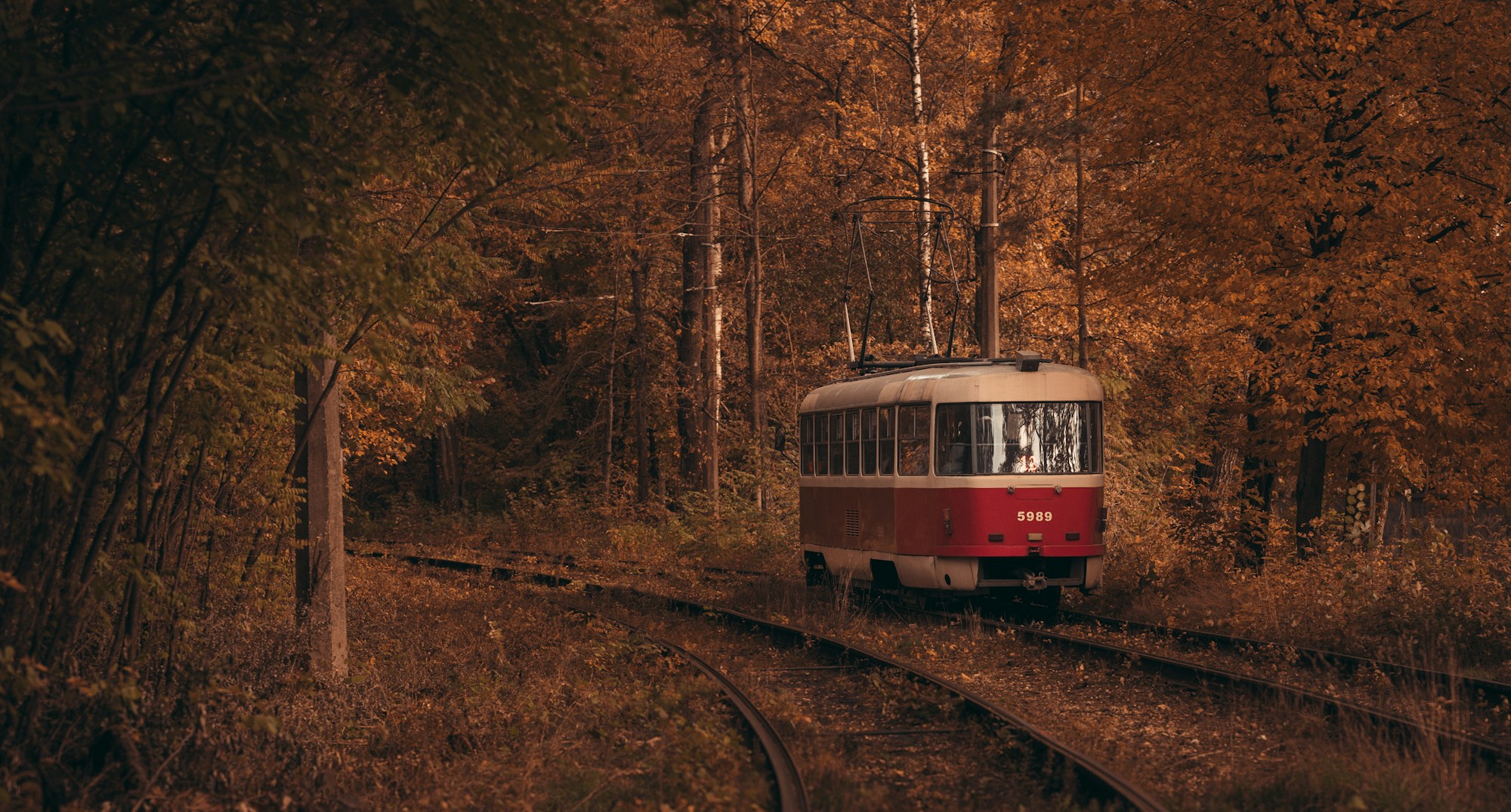 Treno austriaco rosso e bianco che attraversa una foresta in autunno