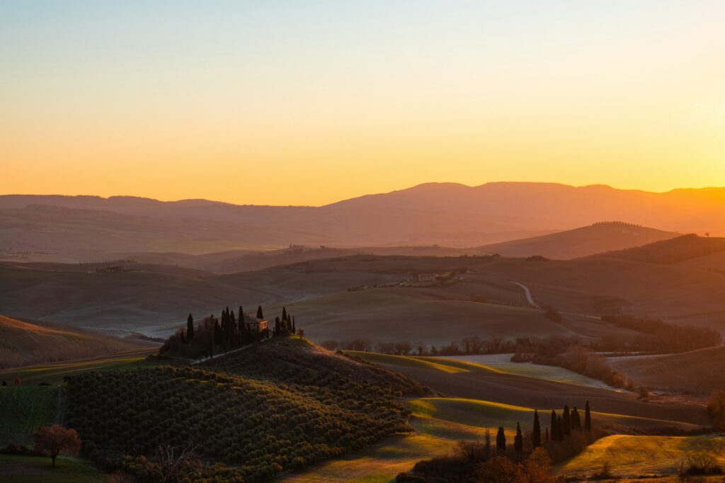 Collines de Toscane parsemées de cyprès et de vignes sous le soleil d'été