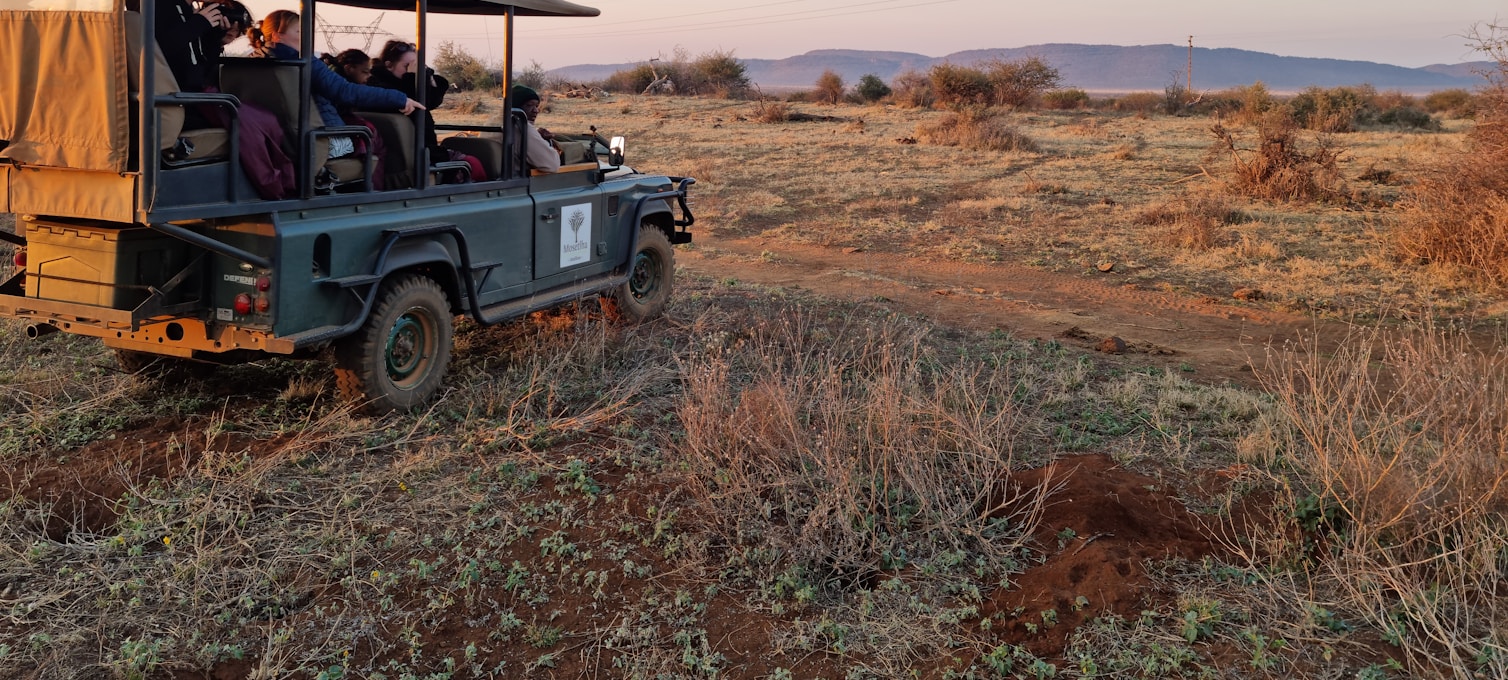 Veicolo da safari aperto che attraversa la savana del parco nazionale di Pilanesberg