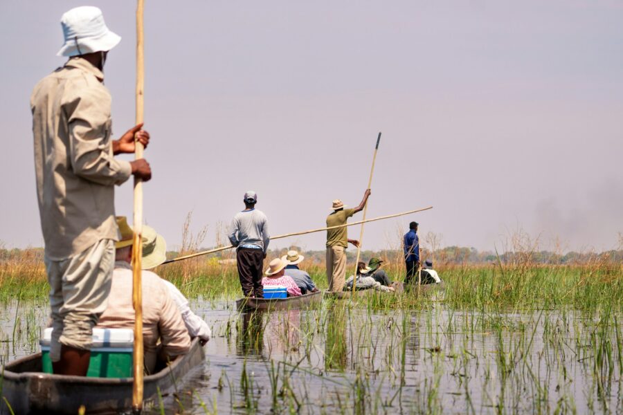 Pirogues mokoro poussées à la perche dans les herbes du delta de l'Okavango, au Botswana