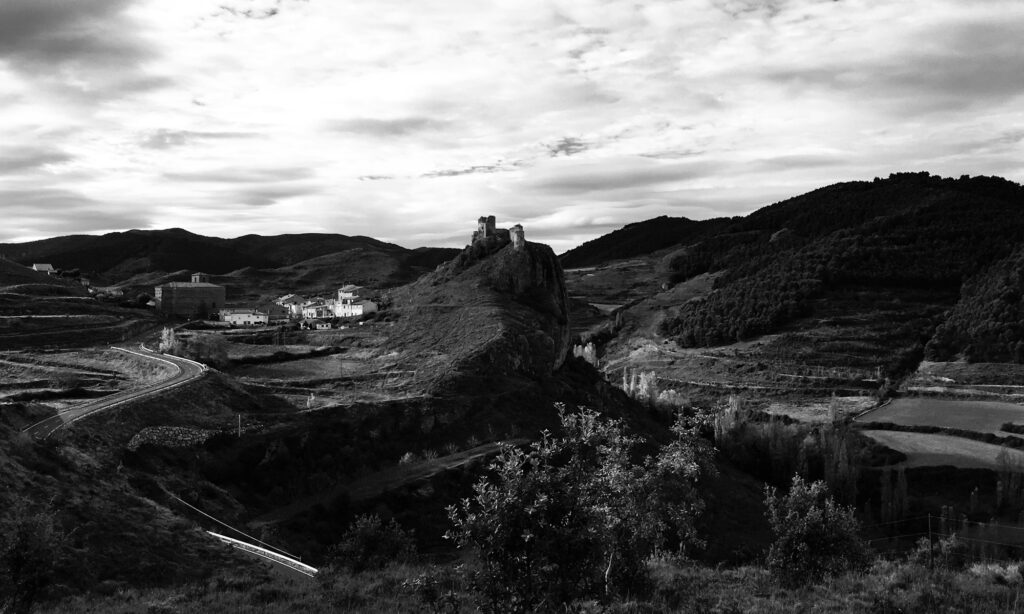 Vignes de garnacha sur les collines de La Rioja en été
