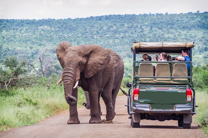 Elefanti vicino a un punto d'acqua nel parco nazionale di Pilanesberg