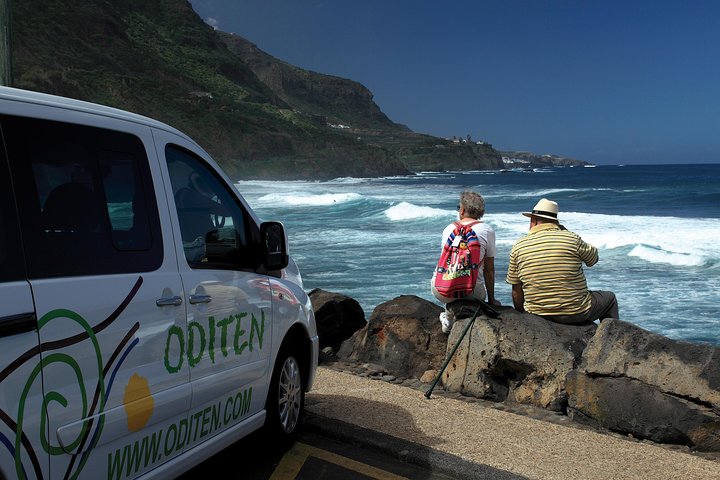 Parc national du Teide et côte nord de Tenerife en visite privée