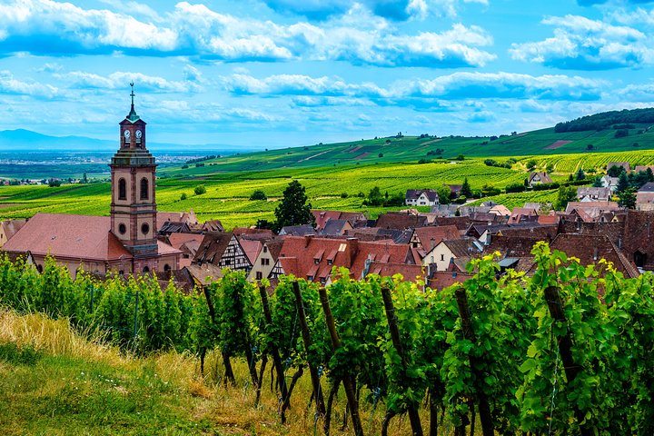 Bodega y degustación en la ruta del vino con salida desde Colmar