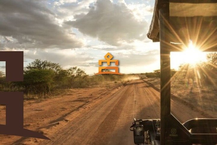 Guida da safari certificata durante un game drive a Pilanesberg