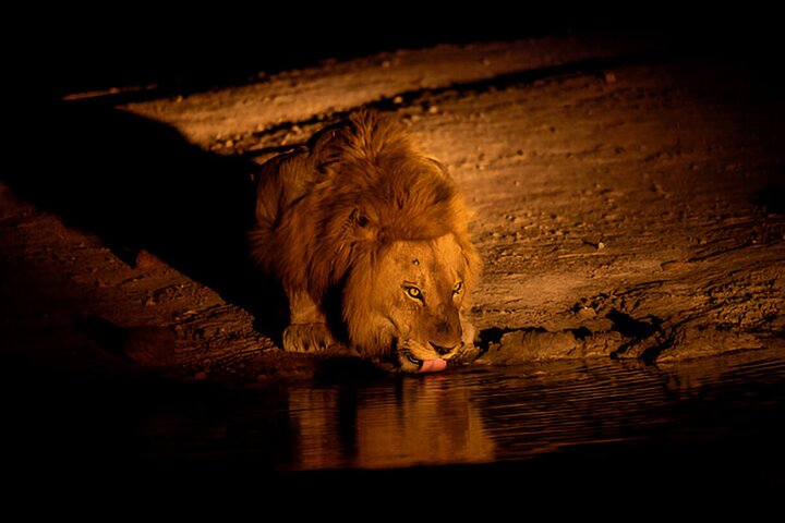 Veicolo da safari notturno nel parco di Pilanesberg al calare della notte