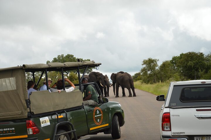Antilopi osservate da un veicolo da safari condiviso a Pilanesberg