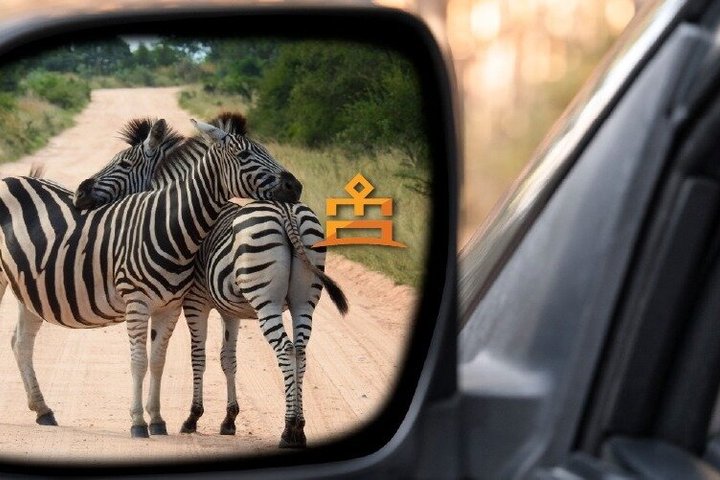 Veicolo da safari misto che attraversa la riserva di Pilanesberg