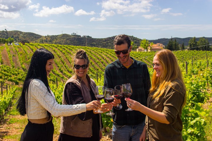 Degustazione di vini in una cantina boutique vicino ad Albufeira con vista su Silves