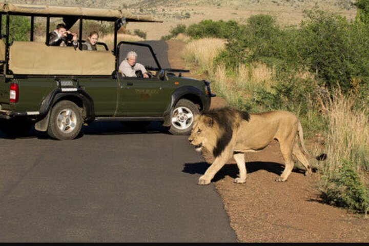 Jeep aperta durante un safari nel parco nazionale di Pilanesberg