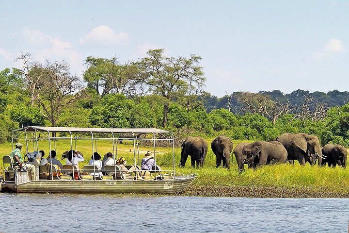 Croisière de fin d'après-midi sur la rivière Chobe (photo 1)