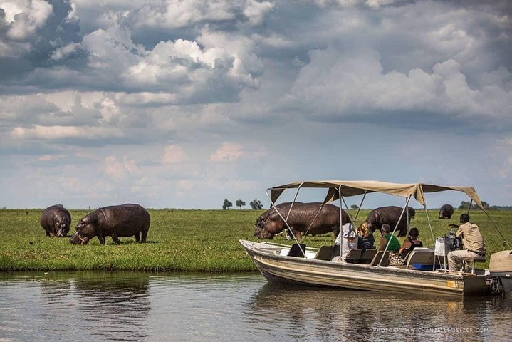 Croisière de fin d'après-midi sur la rivière Chobe (photo 2)