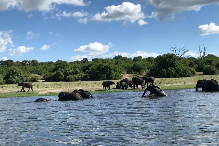 Croisière de fin d'après-midi sur la rivière Chobe (photo 3)