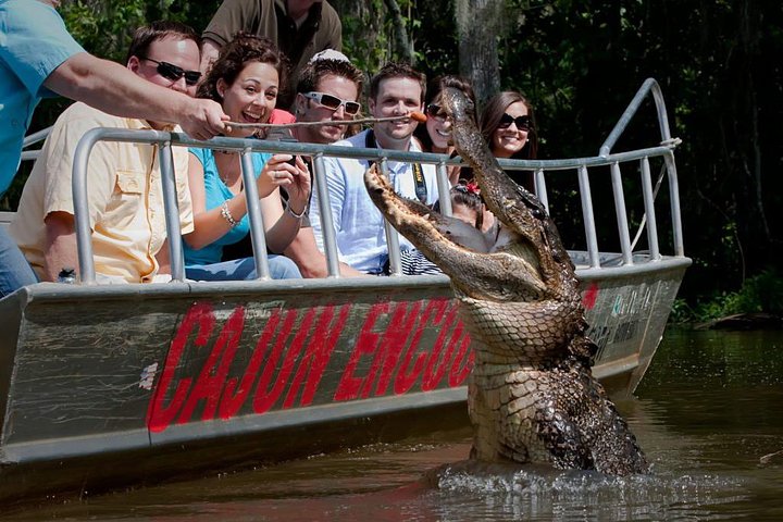 Excursion en bateau dans les marais de Honey Island (photo 2)