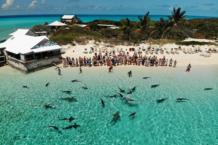 Exuma Cays : iguanes, requins et cochons nageurs – 2 Marina Drive, Paradise Island, Nassau (photo 1)