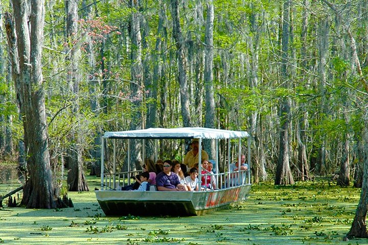 Honey Island Swamp Boat Tour from New Orleans (photo 1)