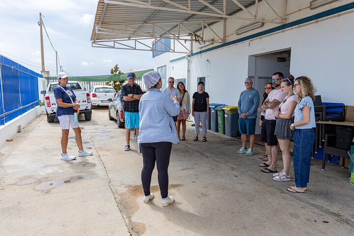 La fabrique d'olives de table de Tavira (photo 3)