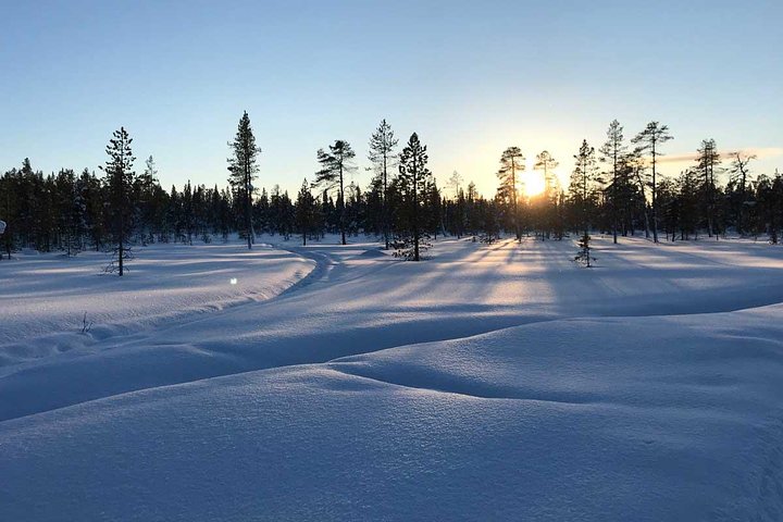 Motoneige en Laponie – Torggatan 4, 981 30 Kiruna, Suède (photo 2)