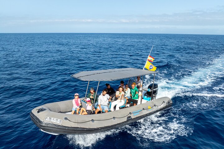 Observation des baleines et des dauphins en semi-rigide (photo 2)