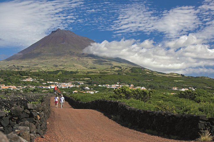 Tour complet de Pico au départ de Horta — vignobles, lagoons et paysages volcaniques (photo 1)