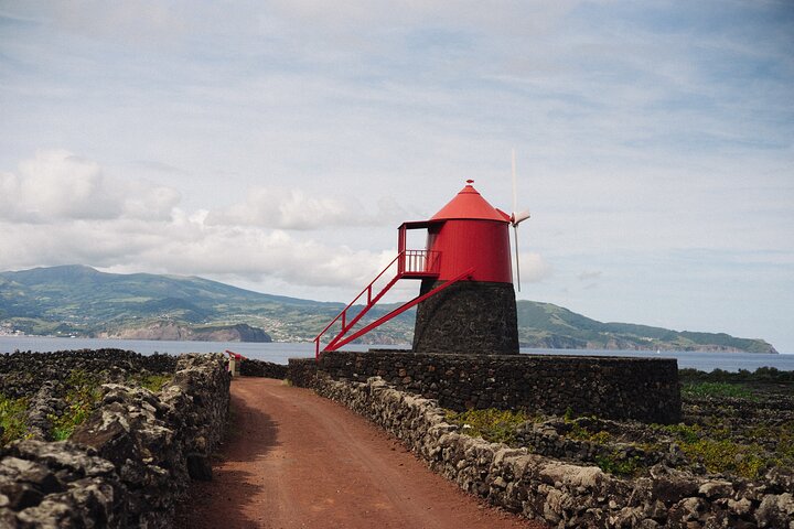 Tour complet de Pico au départ de Horta — vignobles, lagoons et paysages volcaniques (photo 3)