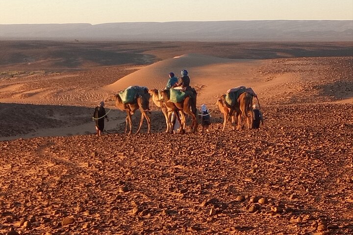 Trek chamelier de 4 jours de M'Hamid à l'erg Chegaga – Point 18, piste entre Tagounite et M'Hamid El Ghizlane, province de Zagora (photo 1)
