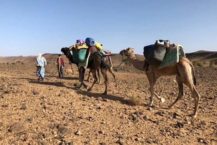 Trek chamelier de 4 jours de M'Hamid à l'erg Chegaga – Point 18, piste entre Tagounite et M'Hamid El Ghizlane, province de Zagora (photo 3)