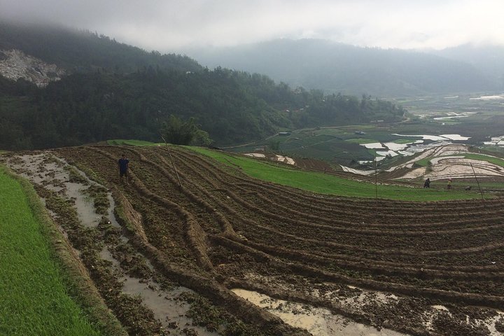 Trek de 2 jours à Tả Phìn et Trung Chải, nuit chez l'habitant – 15 Tuệ Tĩnh, Sa Pa, Lào Cai (photo 3)