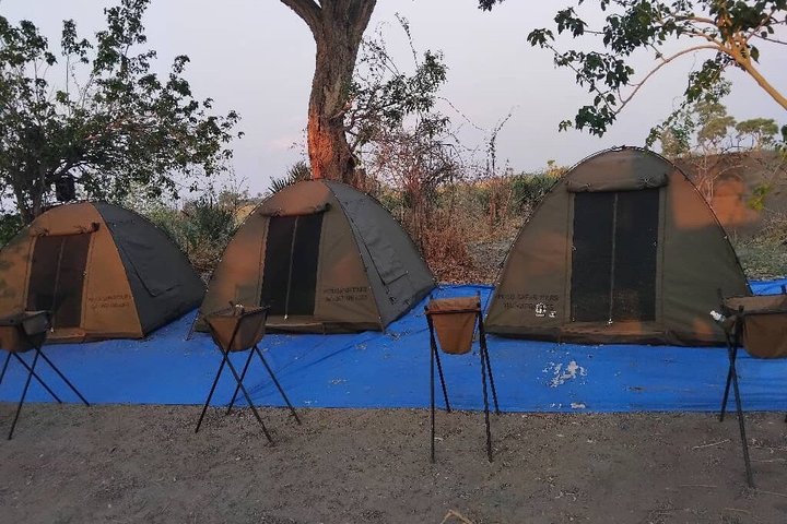 Trois jours et deux nuits en mokoro dans le delta (photo 1)