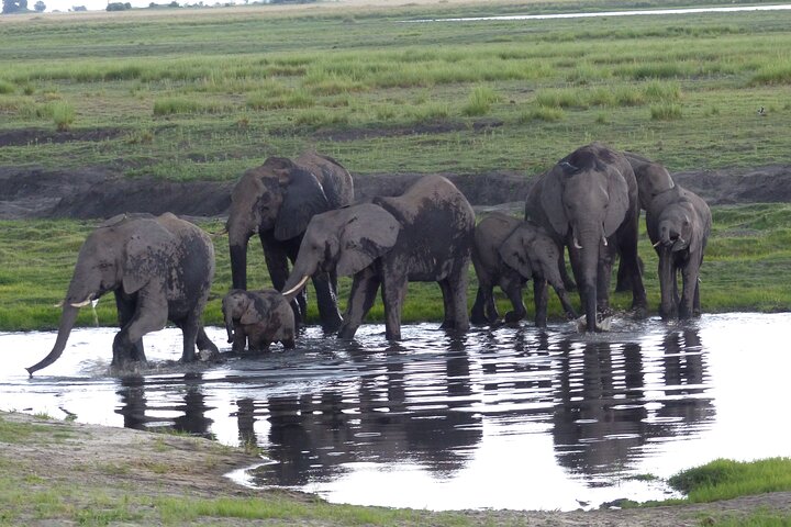 Trois jours et deux nuits en mokoro dans le delta (photo 3)