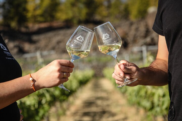 Vignoble de montagne à Arafo – Calle Norte, 38550 Arafo, Tenerife (photo 1)