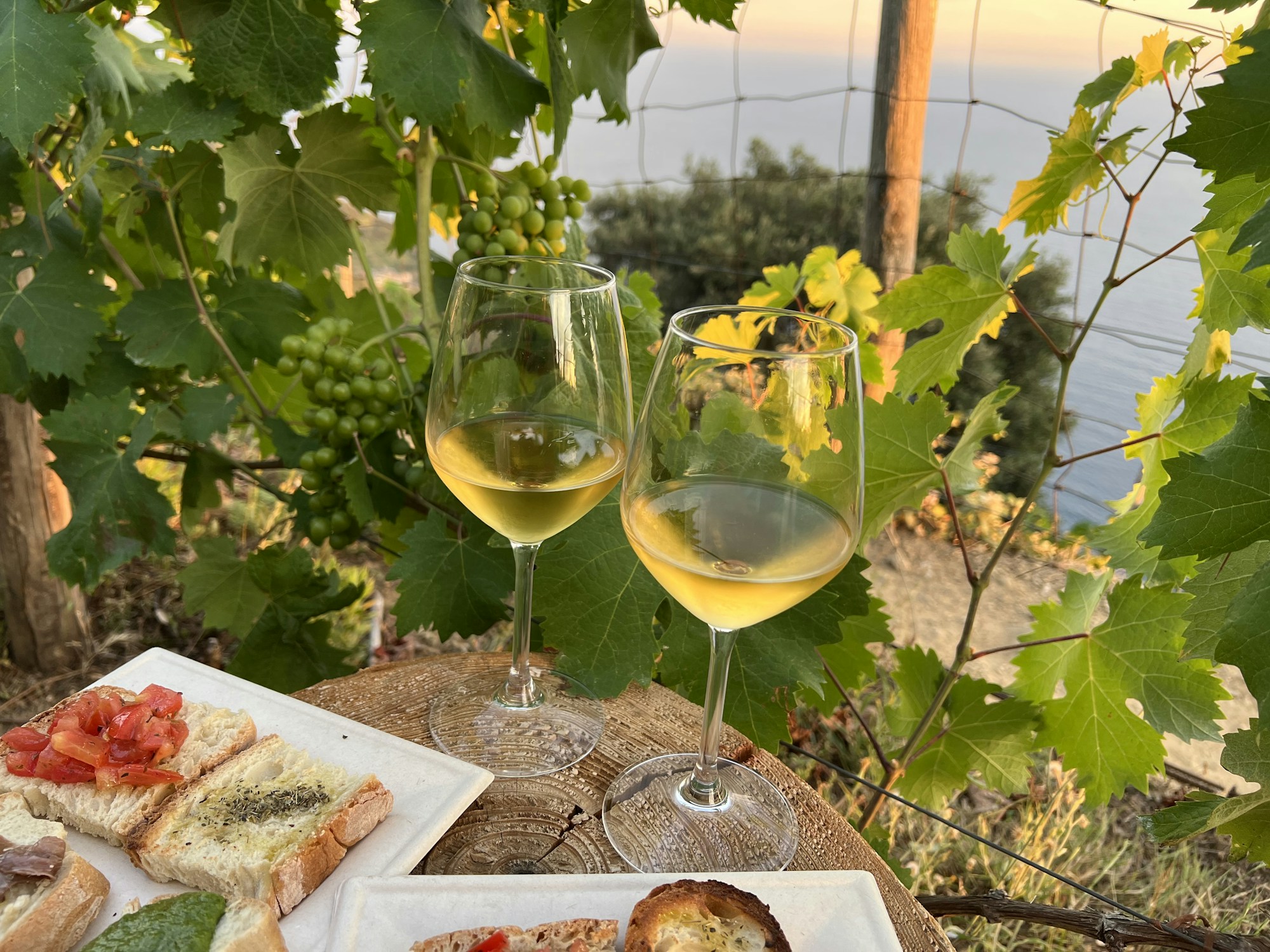 Dos copas de vino blanco sobre una mesa de madera, evocación del Dubbeglas del Wurstmarkt