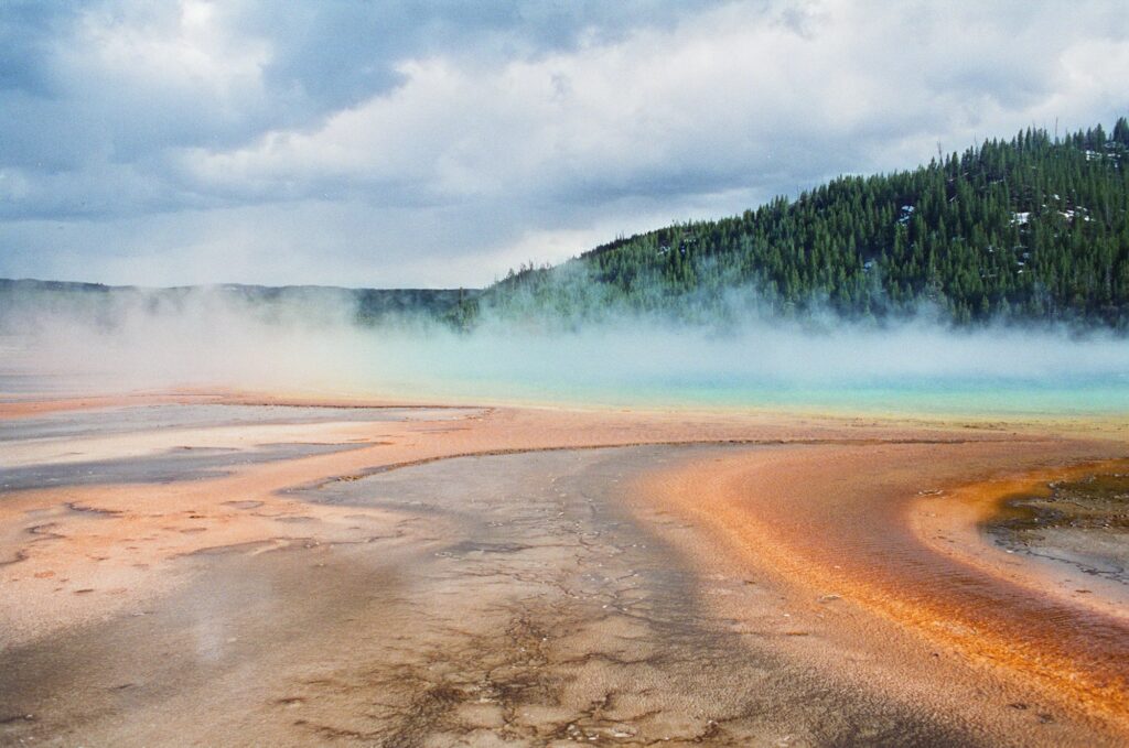 Vapeur s'élevant d'une source d'eau chaude entourée de forêt