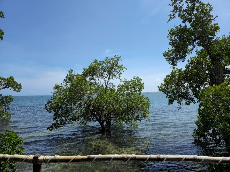 Badjao Seafront Restaurant – PPHX+4V5, Abueg St, Puerto Princesa City, Palawan, Philippines (photo 3)