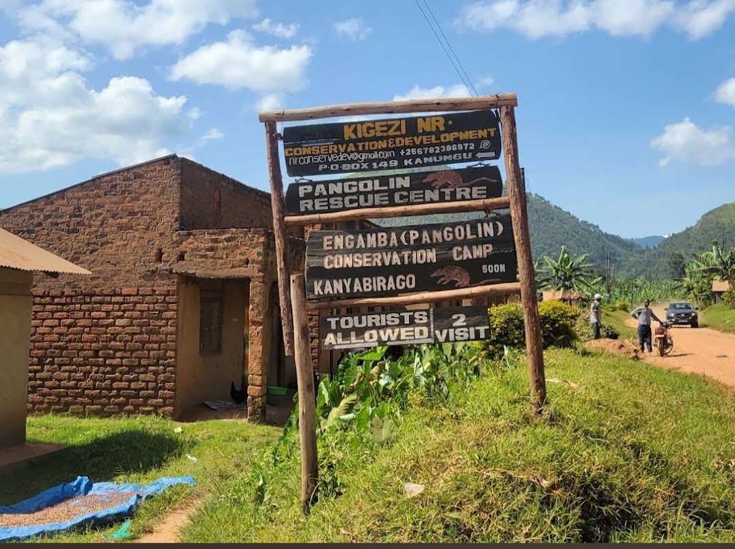 Camp de sauvegarde des pangolins – Pangolin Rescue Camp, Kanungu, Ouganda (photo 1)