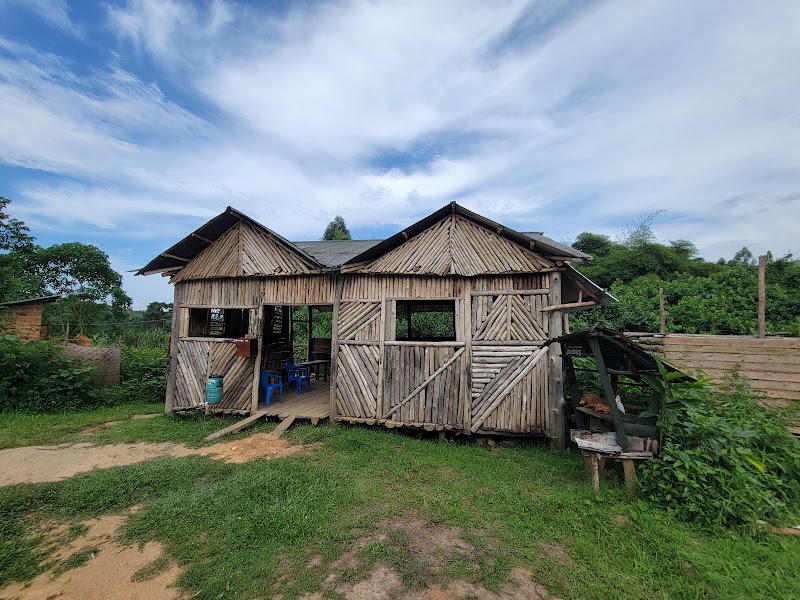 Camp de sauvegarde des pangolins – Pangolin Rescue Camp, Kanungu, Ouganda (photo 2)